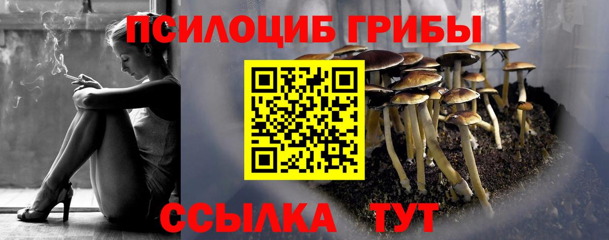 Псилоцибиновые грибы Magic Shrooms  Вход с VPN  Псилоцибиновые грибы MAGIC MUSHROOMS  Тобольск 